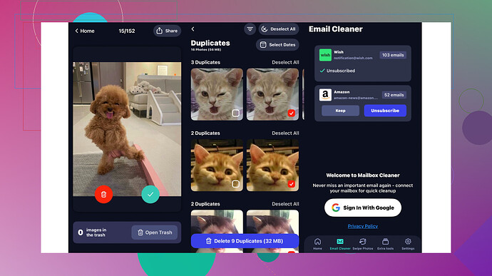Cleaner Guru App Screenshot